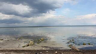 Tag 1 HUB 2015. TV Grundhof. Wahre Liebe. Tag 1 HUB 2015. TV Grundhof. Wahre Liebe.