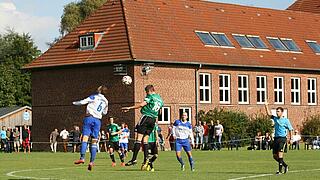 TVG : IF Tønning 0:0 geht in Ordnung!. TV Grundhof. Wahre Liebe.